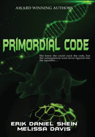 Primordial Code