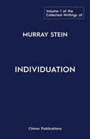 Collected Writings of Murray Stein