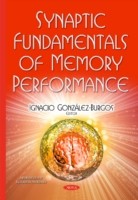 Synaptic Fundamentals of Memory Performance