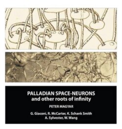 Palladian Space-Neurons and other Roots of Infinity