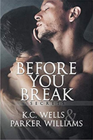 Before You Break Volume 1