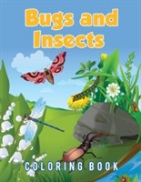 Bugs And Insects Coloring Book