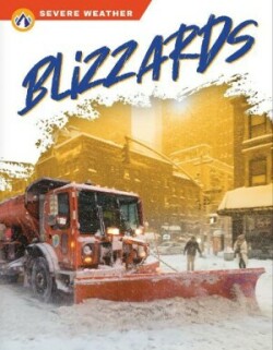Severe Weather: Blizzards
