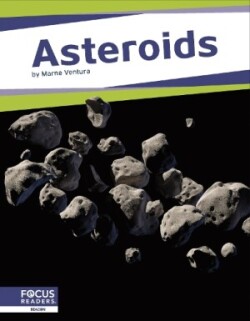 Asteroids