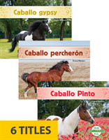 Caballos (Horses) (Set of 6)