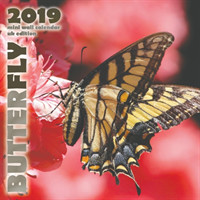 Butterfly 2019 Mini Wall Calendar (UK Edition)