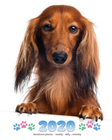 2020 Dachshund Planner - Weekly - Daily - Monthly