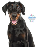 2020 Doberman Pinscher Planner - Weekly - Daily - Monthly