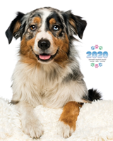 2020 Australian Shepherd Planner - Weekly - Daily - Monthly