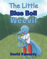 Little Blue Boll Weevil