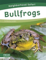 Neighborhood Safari: Bullfrogs