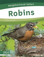 Neighborhood Safari: Robins