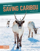 Saving Animals: Saving Caribou