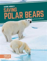 Saving Animals: Saving Polar Bears