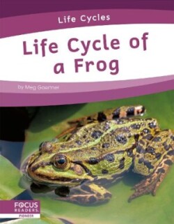 Life Cycle of a Frog