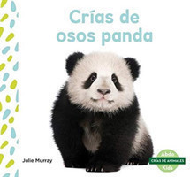 Crías de osos panda (Panda Cubs)