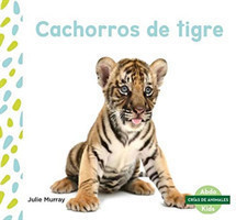 Cachorros de tigre (Tiger Cubs)