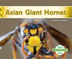Incredible Insects: Asian Giant Hornet