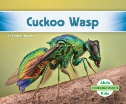 Incredible Insects: Cuckoo Wasp