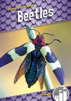 Animals with Armor: Beetles