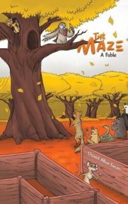 Maze