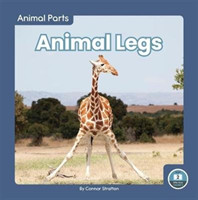 Animal Parts: Animal Legs