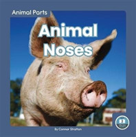 Animal Parts: Animal Noses