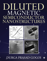 Diluted Magnetic Semiconductor Nanostructures