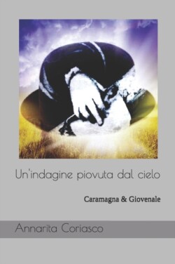 Un'indagine piovuta dal cielo