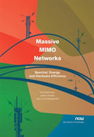 Massive MIMO Networks