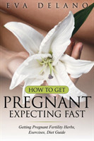 How to Get Pregnant