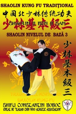Shaolin Nivelul de Baz&#259; 3