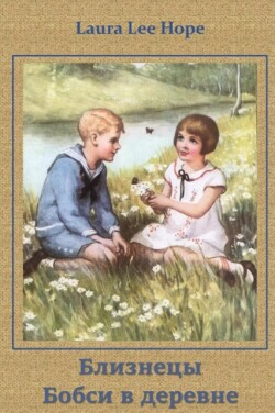 &#1041;&#1083;&#1080;&#1079;&#1085;&#1077;&#1094;&#1099; &#1041;&#1086;&#1073;&#1089;&#1080; &#1074; &#1044;&#1077;&#1088;&#1077;&#1074;&#1085;&#1077;; The Bobbsey Twins in the Country (Russian edition)