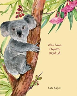 Non Sono Orsetto Koala