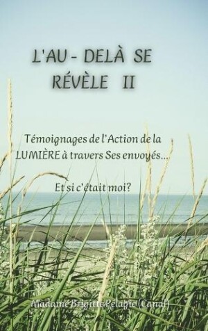 L'AU-DELÀ SE RÉVÈLE II (couverture rigide)