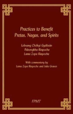 Practices to Benefit Pretas, Nagas and Spirits