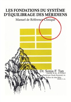 Les fondations du Système d'Équilibrage des Méridiens