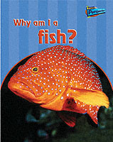 Why am I a Fish?