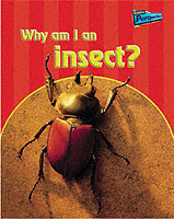 Why am I an Insect?