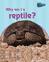 Why am I a Reptile?