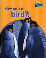 Why am I a Bird?