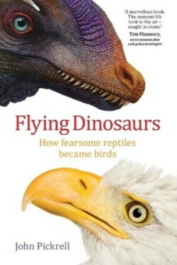 Flying Dinosaurs