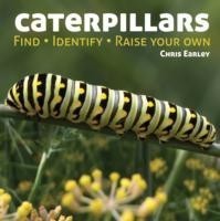 Caterpillars