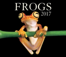 Frogs 2017