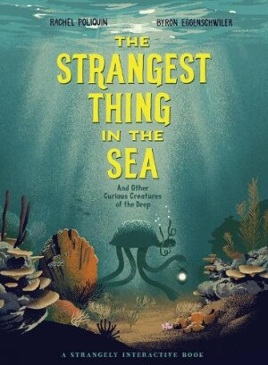 Strangest Thing in The Sea