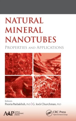 Natural Mineral Nanotubes