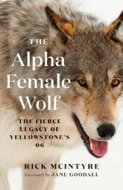 Alpha Female Wolf