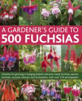 Gardener's Guide to 500 Fuchsias