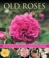 Old Fashioned Roses