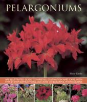 Pelargoniums